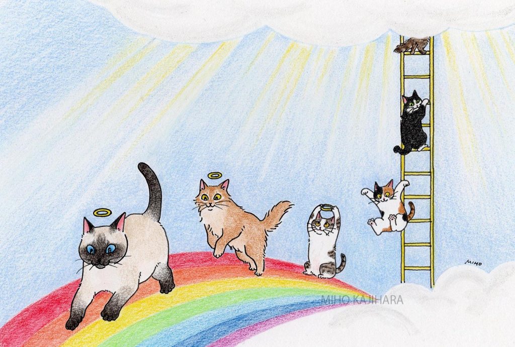 「虹の橋」シリーズ作品