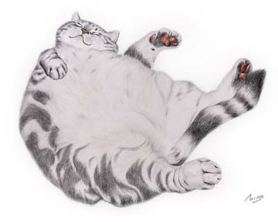 作品（色鉛筆）